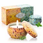 Aromatherapy Candles for Home Scented, 2 Pack 2.5 oz Natural Fresh Rosemary and Vanilla Scented Candles Gifts for Women, Portable Small Candles Gifts for Mother's Day, Birthday, Christmas