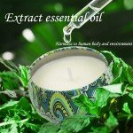 Aromatherapy Candles for Home Scented, 2 Pack 2.5 oz Natural Fresh Rosemary and Vanilla Scented Candles Gifts for Women, Portable Small Candles Gifts for Mother's Day, Birthday, Christmas