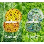 Aromatherapy Candles for Home Scented, 2 Pack 2.5 oz Natural Fresh Rosemary and Vanilla Scented Candles Gifts for Women, Portable Small Candles Gifts for Mother's Day, Birthday, Christmas