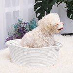 ABenkle Small Woven Storage Basket with Handles - 12"x8"x5", Decorative Rope Bin for Home Organization, Cat & Dog Toys, Shelf Storage, Gift Basket - White