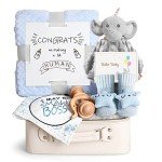 iAOVUEBY Baby Shower Gifts, Baby Boy Gift Basket Set Newborn Blanket Elephant Lovey Baby Security Blanket Wooden Rattle Toy, Funny Bibs Socks & Greeting Card, New Boys Baby Gift Essentials