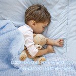 iAOVUEBY Baby Shower Gifts, Baby Boy Gift Basket Set Newborn Blanket Elephant Lovey Baby Security Blanket Wooden Rattle Toy, Funny Bibs Socks & Greeting Card, New Boys Baby Gift Essentials