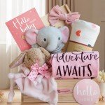 Baby Shower Gifts for Girls - New Born Baby Girls Gift Basket - Baby Gifts for Newborn Girl Essentials Stuff - Gender Reveal Ideas Welcome Baby Girl