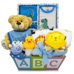 Deluxe 15-Piece New Baby Gift Basket | Newborn Baby Boy Gift Set with Baby Essentials | Baby Gift Basket for Expecting Moms & Parents | Blue Baby Gift Set with Dinosaurs | Nikki's Gift Baskets