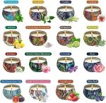 Set of 16 Small Scented Candles Soy Wax Aromatherapy Candles 2.5 OZ Portable Tin Candles with Lid, Relaxation Gifts Basket for Mother, Women, Friends and Coworkers …