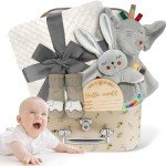 Baby Boy Gift Basket Set, Unique Baby Gift Basket Set, New Baby Boy Gift Basket, New Baby Gift Basket Set with Baby Blanket, Baby Rattle, Bunny, Keepsake Milestone, Elephant Toy, Baby Socks