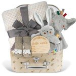 Baby Boy Gift Basket Set, Unique Baby Gift Basket Set, New Baby Boy Gift Basket, New Baby Gift Basket Set with Baby Blanket, Baby Rattle, Bunny, Keepsake Milestone, Elephant Toy, Baby Socks