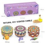 3 Packs Scented Candles Set, Soy Wax Stress Relief Aromatherapy Candles, Relaxation Gift Baskets for Women, Great Gift Ideal for Thanksgiving Christmas House Warming and Birthday