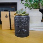 Candle Planter Triple Purpose Romantic, Aromatherapy Candles - Natural Soy Wax, Long-Lasting 50-Hour Burn, Sandalwood Scents - Gifts for Him, Her, Couple, Husband and Wife Birthday Gift Ideas