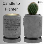 Candle Planter Triple Purpose Romantic, Aromatherapy Candles - Natural Soy Wax, Long-Lasting 50-Hour Burn, Sandalwood Scents - Gifts for Him, Her, Couple, Husband and Wife Birthday Gift Ideas