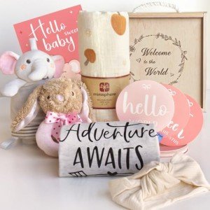New Born Baby Girls Gift - Baby Shower Gifts for Girls - Baby Girl Gift Basket Newborn Baby Girl Gift Set Gender Reveal Ideas Welcome Baby Girl