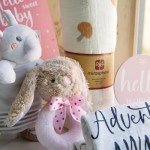 New Born Baby Girls Gift - Baby Shower Gifts for Girls - Baby Girl Gift Basket Newborn Baby Girl Gift Set Gender Reveal Ideas Welcome Baby Girl