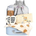Baby Boy Gift Basket Set, 8Pcs Newborn Baby Essentials Baby Gift Baskets Set, Cute & Practical Baby Boy Gift Baskets for Newborn, Baby Boy Gifts, Best Welcome Baby Gift & Gender Reveal Gift Basket