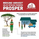 Mavuno Harvest Organic Dried Fruit Variety Pack | Dried Mango, Papaya, Pineapple, Banana, Jackfruit, & Tropical Mix | Healthy, Vegan, No Sugar Added, Non GMO Snacks for Kids & Adults | 2 Ounce, 6 Pack