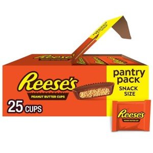 REESE'S Milk Chocolate Snack Size Peanut Butter Cups, Candy Pantry Pack, 13.75 oz (25 Pieces)