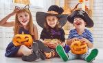 Halloween Candy Care Package Gift (50ct) Snacks Box Basket Candies Kids Children Adults Cookies Food Variety Pack Bundle Mixed Bulk Sampler Girls Boys Guys Men Women Boyfriend Girlfriend College Student