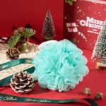 Christmas Gifts for Women Unique Holiday Gift Basket for Her, for Mom, Wife, Girlfriend, Sister, Coworkers, Boss, Teacher, Nurse, Xmas Tumbler Gifts Basket for Women Who Have Everything