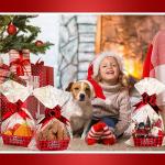 Cholemy 72 Pcs Christmas Gift Baskets Empty to Fill Kit DIY Basket for Gifts Empty Bulk 24 Tray Favor with Handles 24 Bows 24 Clear Basket Bags for Xmas Holiday Birthday (Buffalo Plaid)