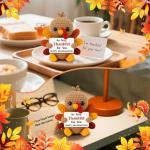 Thanksgiving Gifts for Women Handmade Crochet Turkey Women Family Adults Hostess Friend Happy Holiday Thanksgiving Card Party Favors Activities Crafts Basket Dinner Table Fall Home Decorations