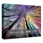 Hard Impossible Puzzles for Adults 1000 Piece, Challenging Difficult Puzzles for Adults, Colorful Gradient Jigsaw Puzzle for Adult