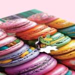 1000 Piece Puzzles for Adults,Food Jigsaw Puzzle,Macaroon Palette Jigsaw Puzzles 1000 Pieces,Creative Games Gift and Dessert Puzzle Home Decor Puzzles for Adults 1000 Pieces (27.5"x19.6"),1:1 Poster