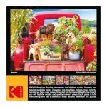 RoseArt - Kodak Premium - Stowaways - 1000 Piece Jigsaw Puzzle for Adults