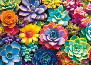 Moruska Succulent Puzzle 1000 Pieces for Adults Gradient Colorful Succulent Plant Jigsaw Puzzle Beautiful Wall Decor Puzzle