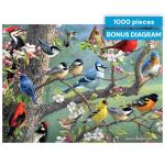 Buffalo Games - Birds in an Orchard - Hautman - 1000 Piece Jigsaw Puzzle for Adults, Challenging Bird Puzzle for Game Nights, Finished Size 26.75 x 19.75, Made in the USA