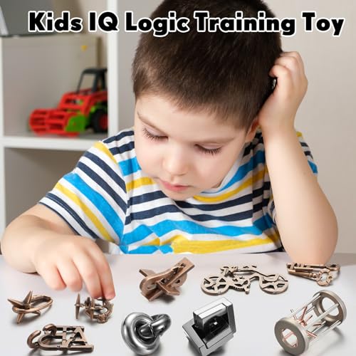9-Piece Metal Brain Teaser Puzzles for Adults