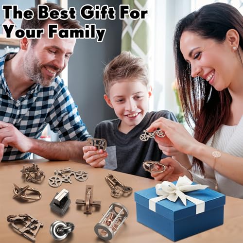 9-Piece Metal Brain Teaser Puzzles for Adults