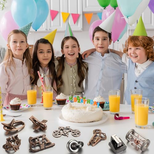 9-Piece Metal Brain Teaser Puzzles for Adults