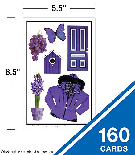 Carson Dellosa Language Learning Cards Set