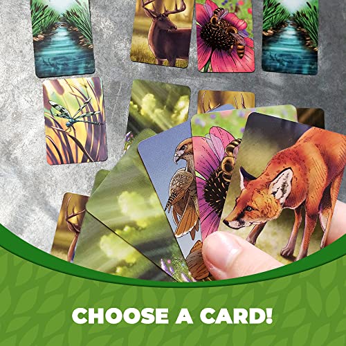 Ecosystem: A Wildlife-themed Card Game for All Ages