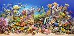 Castorland "Underwater Life Puzzle (4000 Piece)