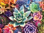 Buffalo Games - James Mertke - Simple Succulent - 1000 Piece Jigsaw Puzzle For Adults - Challenging Puzzle Perfect for Game Nights - Finished Puzzle Size is 26.75 x 19.75