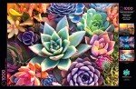 Buffalo Games - James Mertke - Simple Succulent - 1000 Piece Jigsaw Puzzle For Adults - Challenging Puzzle Perfect for Game Nights - Finished Puzzle Size is 26.75 x 19.75