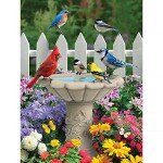 Bits and Pieces – 500 Piece Jigsaw Puzzle for Adults – Summer Garden Friends - Bird Bath Flower Fence Yard Outdoor Animal Jigsaw Puzzle by Artist Alan Giana, Completed Puzzle Size: 18" x 24"