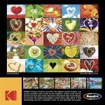 RoseArt - Kodak Premium - Love is Everywhere - 1000 Piece Jigsaw Puzzle for Adults