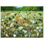 Funwares Original 101 Pooping Puppies Puzzle - Hilarious Jigsaw Puzzle - Perfect White Elephant Gag Gift - Funny Dog Pooping Puzzle for Adults and Kids! 500 Piece Puzzle!