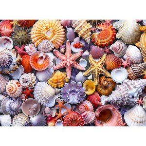 500 Pieces Jigsaw Puzzles for Adults–Colorful Beach Shells Puzzle for Adults Children Elderly–Recycled Paper Puzzle 500 Pieces–Glossy, Sturdy Pieces Challenging Family Game Great Gift Idea (20.5x15in)