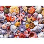500 Pieces Jigsaw Puzzles for Adults–Colorful Beach Shells Puzzle for Adults Children Elderly–Recycled Paper Puzzle 500 Pieces–Glossy, Sturdy Pieces Challenging Family Game Great Gift Idea (20.5x15in)
