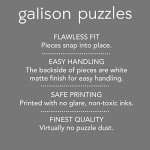 Galison Stitch by Stitch – 1000 Piece Puzzle Fun and Challenging Activity with Bright and Bold Quilting and Crafting Themed Storefront Artwork for Adults and Families