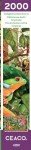 Ceaco - Parker Fulton - Delightful Rainforest - 2000 Piece Jigsaw Puzzle