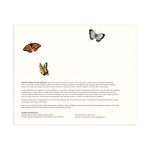 Galison Wendy Gold USA State Flowers Puzzle, 1000 Pieces, 20” x 27” – Jigsaw Puzzle Featuring a Colorful Illustration – Thick Sturdy Pieces, Challenging Family Activity, Great Gift Idea