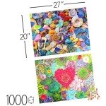 2-Pack of 1000-Piece Jigsaw Puzzles, Succulents & Rocks and Minerals | Puzzles for Adults and Kids Ages 8+, Amazon Exclusive