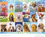 Buffalo Games - Michael Quackenbush - It's a Ruff Life - 1500 Piece Jigsaw Puzzle for Adults Challenging Puzzle Perfect for Game Nights - Finished Size is 38.50 x 26.50