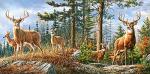 Castorland - Royal Deer Family - 4000 Piece Jigsaw Puzzle for Adults