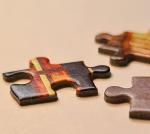 CASTORLAND 1500 Piece Jigsaw Puzzles, Color Competition, Chameleon, Animal Puzzles, Colorful Flowers, Adult Puzzle, Castorland C-152162-2