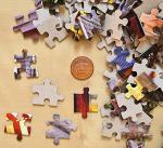 CASTORLAND 1500 Piece Jigsaw Puzzles, Color Competition, Chameleon, Animal Puzzles, Colorful Flowers, Adult Puzzle, Castorland C-152162-2