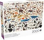 Buffalo Games - Kara Mohr - Conservation Collage - 2000 Piece Jigsaw Puzzle for Adults - Challenging Puzzle Perfect for Game Nights - Finished Size is 38.50 x 26.50